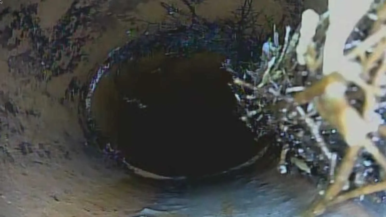 Tree roots blocking a sewer line seen on camera